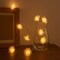 Elegani 20 LED Rose Flower String Lights - Warm White 5mm LEDs with PVC Roses, Romantic Floral Lighting PH-20LD-RS-WH - alternate 3