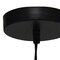 Homeroots Black Simple Iron Ceiling Light With Clear Shades 651671 - alternate 4