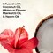 Shea Moisture Coconut Hibiscus Smooth and Shine Oil, 3.3 Fluid Ounce, 6PK 64361838 - alternate 4