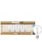 Bulbrite LED Filament PK of 4, 7.6 W Dimmable G25 Light Bulb with Clear Finish and E26 Base - 3000K 776240 - alternate 13
