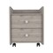 Homeroots 22" Gray Wood Two Drawer Nightstand 543671 - alternate 1