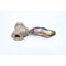 Flotect FLOAT SWITCH 1IN NPT 125/250V-AC L6EPB BS3B - alternate 5