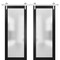 Sartodoors Sturdy Double Barn Door with Frosted Glass Planum 2102 Black 84x96 (2* 42x96) Solid Core PLANUM2102DB-S-BLK-84 x 96 (2* 42x96) - alternate 1
