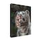 Trademark Fine Art Outdoor Canvas Art - David Stribbling 'white tiger cub portrait' Wall Art for Patios, or Gardens GRL01600-OC2432WR - alternate 1