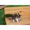 Best Garden 12'' Steel Hand Transplanter GT-965BS - alternate 6