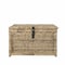 Happimess Caden 30in Wicker Storage Trunk, Natural HPM9001C - alternate 4