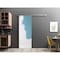 Sartodoors Sliding Barn Door with 6.6ft Hardware, Planum 0010 Primed, Rail Hangers Sturdy Silver Set, Modern S PLANUM0010BD-S-PRI-42 - alternate 1