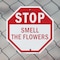 Signmission Stop Smell the Flowers, 6 inch X 6 inch, Plastic Sign, 2PK OC-P-2PACK-6-65 - alternate 4