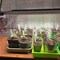 Beyond Led Technology STEEL, LED Grow Light, 720 Watt, 1760uMol/s, Full Spectrum, 100-277Vac, 44.4" X 42.8” 152268 - alternate 6