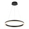 Jonathan Y Baxter 23.5" 1-Light Modern Contemporary Aluminum Integrated LED Hoop Pendant, Black JYL7200B - alternate 1