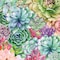 Homeroots Succulents Paradise 2 White Framed Print Wall Art 407881 - alternate 3