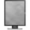 Dell P1917S 19IN LED LCD MON 12X10 DELL-P1917SE - alternate 16