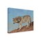 Trademark Fine Art Outdoor Canvas Art - David Stribbling 'RED ROCK WOLF' Wall Art for Patios, or Gardens GRL00273-OC1419WR - alternate 1