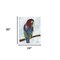 Homeroots Large Bright and Tropical Parrot Canvas Wall Art 398901 - alternate 4