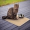 Gibson Everyday Pet Elements 18.5 x 13.78 Inch Cat Silhouette Placemat in Tan 119898.01 - alternate 4