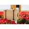 Picnic Time Family Of Brands Charleston Picnic Basket, Light Willow 300-92-259-000-0 - alternate 6