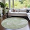 Homeroots 8' Artichoke Green Fern Green And Ivory Round Abstract Washable Indoor Outdoor Area Rug 587460 - alternate 6