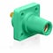 Leviton Female Receptacle 16R24-UG - alternate 1
