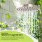 Supply Giant Shower Head, High Pressure Single Function Rainfall Showerhead, 2.5 GPM, 8in Face Diameter 74-902-O - alternate 6