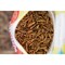 Wonder Grubs Calcium Craze 5 Lb. Black Soldier Fly Larvae PH560 - alternate 3