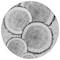 Homeroots 8' Round Gray and Black Round Faux Bois Washable Non Skid Indoor Outdoor Area Rug 564415 - alternate 7