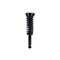 Fcs Struts Suspension Strut And Coil Spring Assembly 1345936 - alternate 1