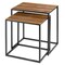 Homeroots Set of Two Brown and Black Metal And Faux Snake Leather Nesting End Tables, 2PK 383761 - alternate 6