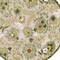 Homeroots 8' Ivory Green And Yellow Round Floral Indoor Outdoor Area Rug 548065 - alternate 8