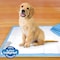 Animal Planet Four Paws Pee-Pee Polymer Training Pads 30 pk 100519797 - alternate 4