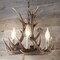 Jonathan Y Nelle 18" Adjustable Resin Antler 3-Light LED Chandelier, Brown JYL6304A - alternate 11