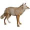 Flambeau Coyote Decoy Geese Repelling 5985MS-1 - alternate 4