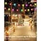 Homevenus Smart Outdoor String Lights Color Changing APP Control Work with Alexa Google, 3 Core Wire, RGB-96FT SY-SL3C-96 - alternate 4