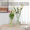 Uniquewise Set of 2 Square Frosted Clear Glass Table Vase - A Timeless Centerpiece for Dining Tables QI004738.CR.2 - alternate 5
