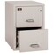 Fireking 2 Drawer, 2 Hr Fire & Impact Rated, Vertical, 31" depth Letter Platinum 2-1929-2PL - alternate 2