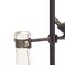 Homeroots Set of Two Clear and Black Metal and Glass Apothecary Jar, 2PK 516217 - alternate 5
