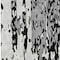 Homeroots 9' X 12' Black And Ivory Abstract Washable Indoor Outdoor Area Rug 613330 - alternate 5