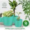 Lifemaster Planter Pots with Drainage Holes, Lightweight, Durable, Space-Saving, Aqua, 10PK LMFLOPAQA510 - alternate 6