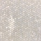 Apollo Tile Chiffon White 11.6 in x 11.6 in Shell Polished Floor and Wall Mosaic Tile 18.69 sqft/case, 20PK APLSMA88007A - alternate 3