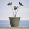 Bloem Ariana 8.5 in. H X 11 in. W X 10 in. D Plastic Traditional Planter Living Green AP1041 - alternate 4