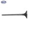 Skyward Automotive Products Engine Exhaust Valve,  SKV4484 - alternate 1