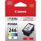 Canon Original Extra Large Yield Inkjet Ink Cartridge, Tri-color CL-246XL - alternate 1