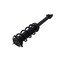 Fcs Struts Suspension Strut And Coil Spring Assembly 1355123R - alternate 5
