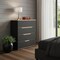 Homeroots 16" Black Four Drawer Dresser 530260 - alternate 3