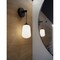 Afx Olivia 14in LED Sconce - Black OLIS0514LAJUDBK - alternate 5