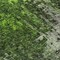 Homeroots 8' Green And Lime Green Round Abstract Washable Indoor Outdoor Area Rug 577243 - alternate 5