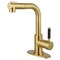 Kingston Brass Single-Handle Pull-Out Kitchen Faucet, Brushed Brass LS2413DKL - alternate 1