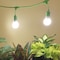Miracle Led Heirloom Tomatoes Starter Grow Light Kit, 2-Socket Full Spectrum LED Lights, 2- Pack, 2PK 803872 - alternate 4