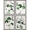 Homeroots Set Of Four Forest Foliage Black Framed Print Wall Art, 4PK 526039 - alternate 1