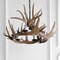 Jonathan Y Nelle 28.5" Adjustable Resin Antler 6-Light Chandelier, Brown JYL6302A - alternate 13