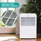 Hisense 25-Pint Dehumidifier, 1500 Sq. Ft. ADH25K26 - alternate 6